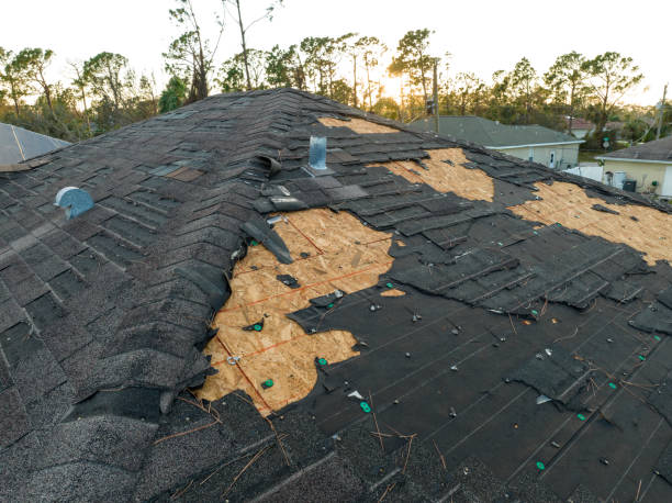 Best Solar Panel Roofing Installation  in Littleton Common, MA